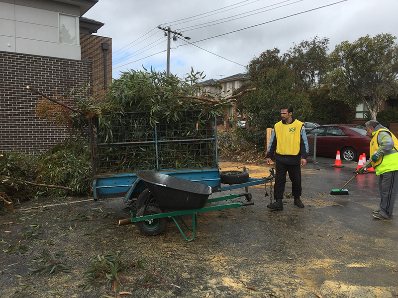 Wheelbarrow and gardening waste